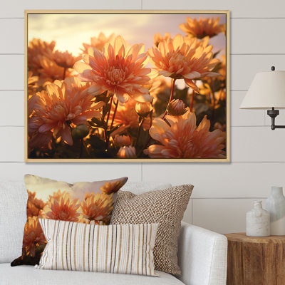 " Chrysanthemums Sunrise Field in Morning " Print