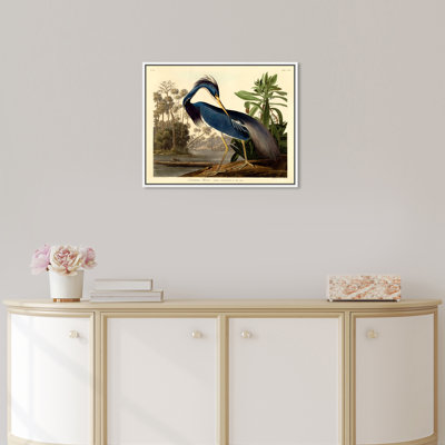 Louisiane héron - Impression sur toile
