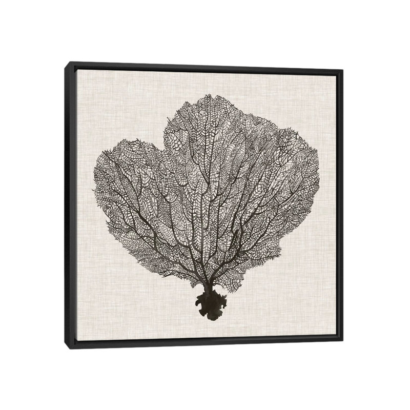 «Shadow Sea Fan I» par Grace Popp - impression d'art graphique, H 37 po x l 37 po x P 1,5 po, Toile avec cadre noir