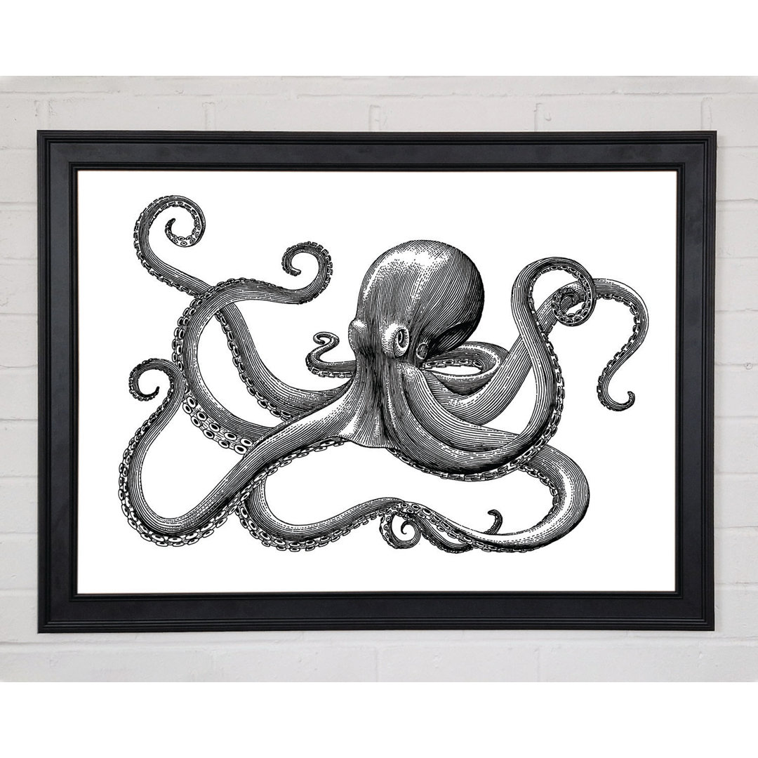 Oktopus Illustration