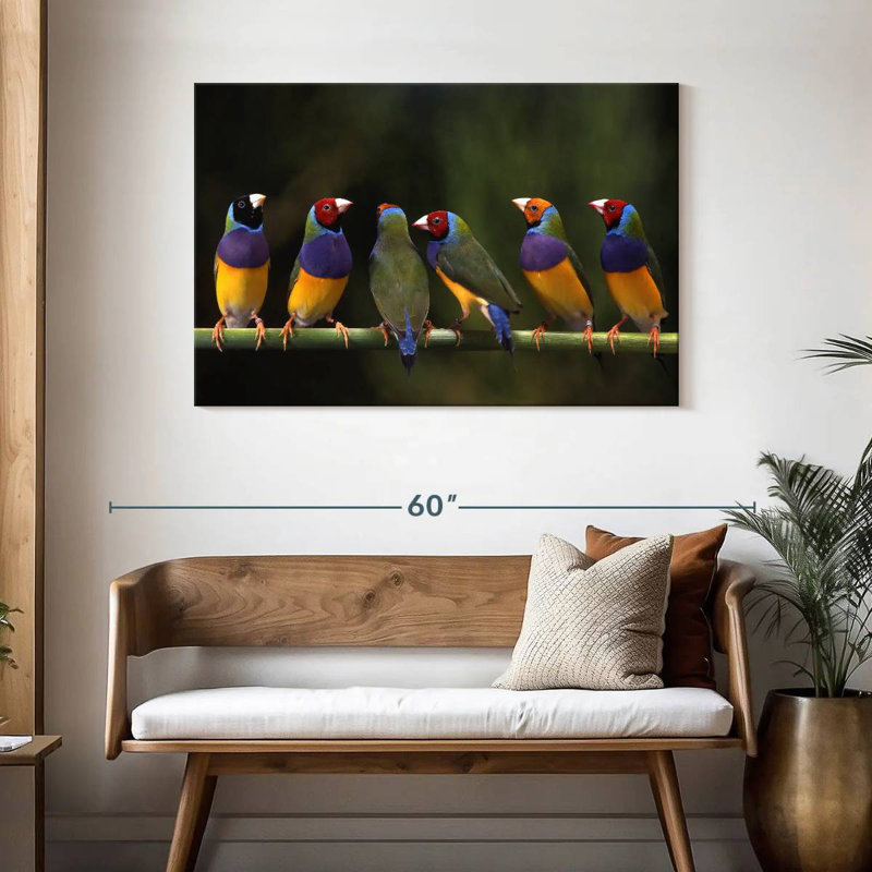 Gouldian Finch I