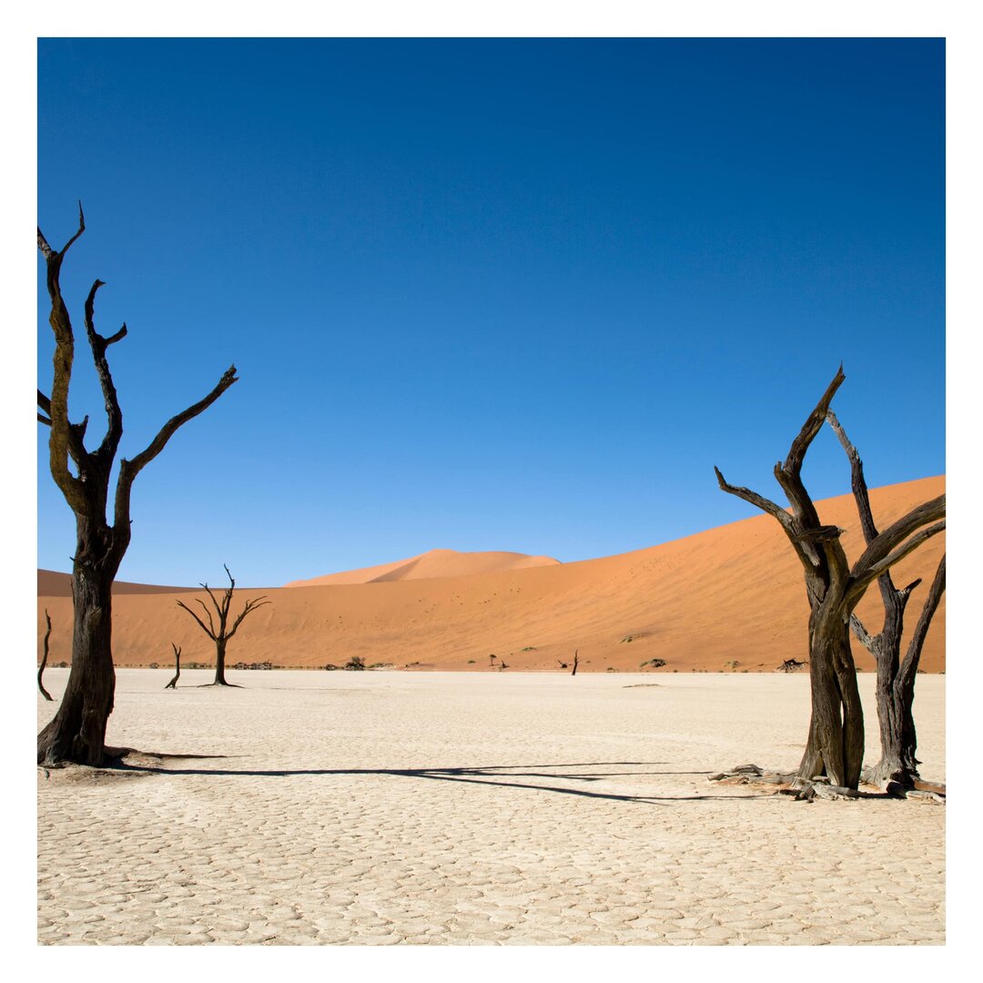 Strukturierte Tapete Sossusvlei Namibia 1,92 m x 192 cm