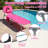 Olenka Outdoor Metal Chaise Lounge