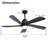 Damecia 52'' Ceiling Fan with LED Lights-1444270905