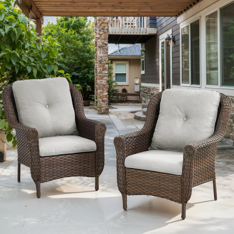 Habbe Outdoor Wicker Patio Chairs Set Of 2 With Olefin Cushions Weather-Resistant, Gray