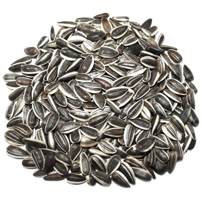 Amillianna Sunflower Seeds Bird Seed