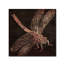 Jadaya «Dragonfly» par Color Bakery, impression sur toile tendue-20096480