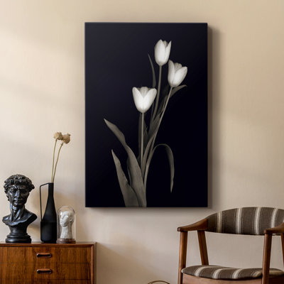 Tulipe Pose I - galerie sur mesure