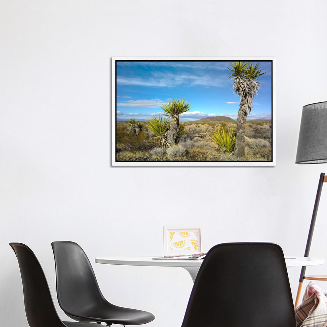 Joshua Tree, Cinder Cones, And Other Desert Vegetation, Mojave National Preserve, California von Tim Fitzharris - Galler...