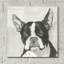 «A Very Neutral Modern Dog 10» par Cartissi, art mural en verre acrylique-1441193994