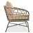 Bohemia-Inspired 4-Person Outdoor Seating Group With Removable Cushions, Conversation Patio Set With Wood Tabletop