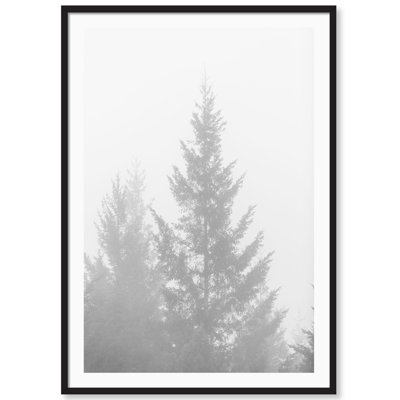 Black and White Redwoods 1 par Carly Tabak - Photographie de cadre