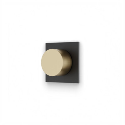 Square And Round Volume Control Trim Kit Satin Brass/Matte Black