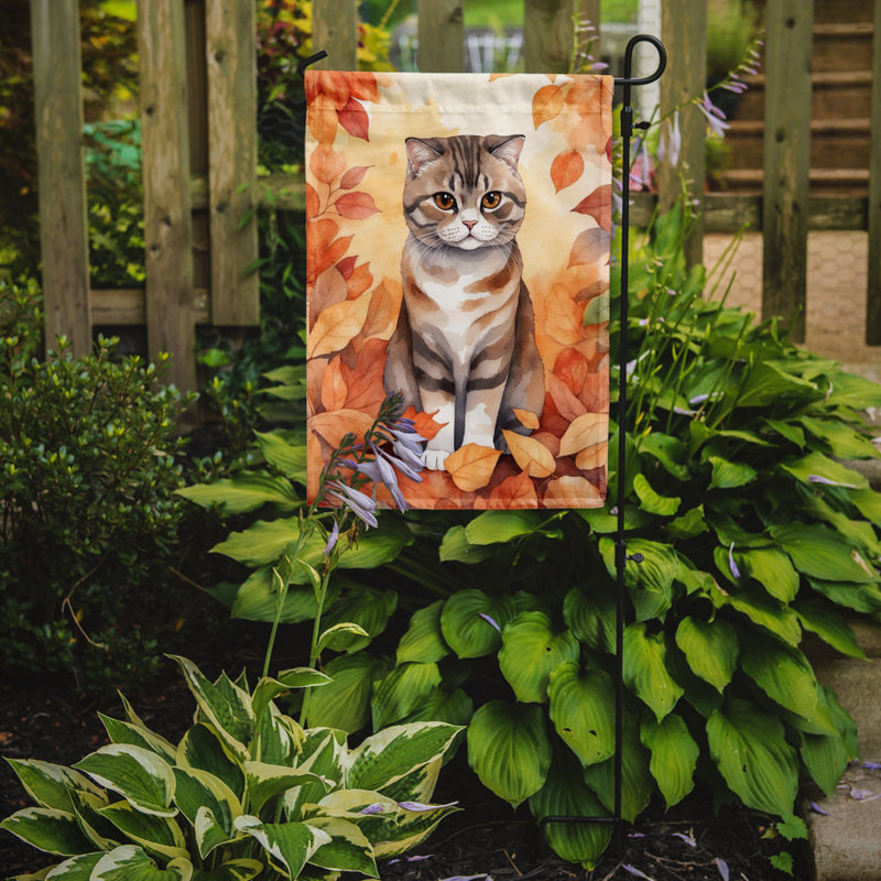 Chat en feuilles d'automne drapeau de jardin, Scottish Fold