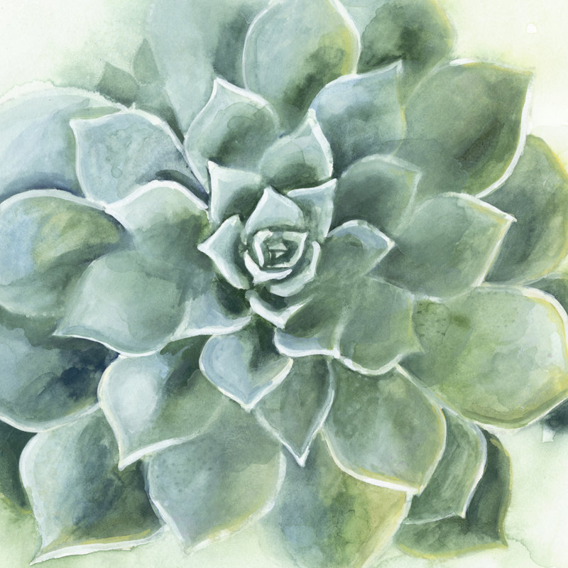 «Verdant Succulent II», peinture sur toile, H 12 po x l 12 po, Toile tendue