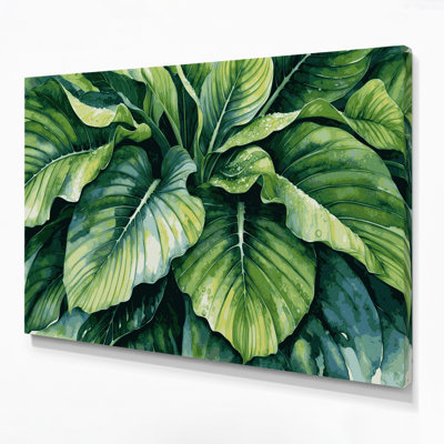 Art mural sur toile Botanical Colocasia