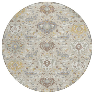  Machine Washable Indoor/Outdoor Chantille ACN1026 Rug