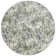 Mamane Transitional Floral Green Area Rug
