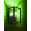 Galesville Black 81.28cm H Outdoor Flush Mount
