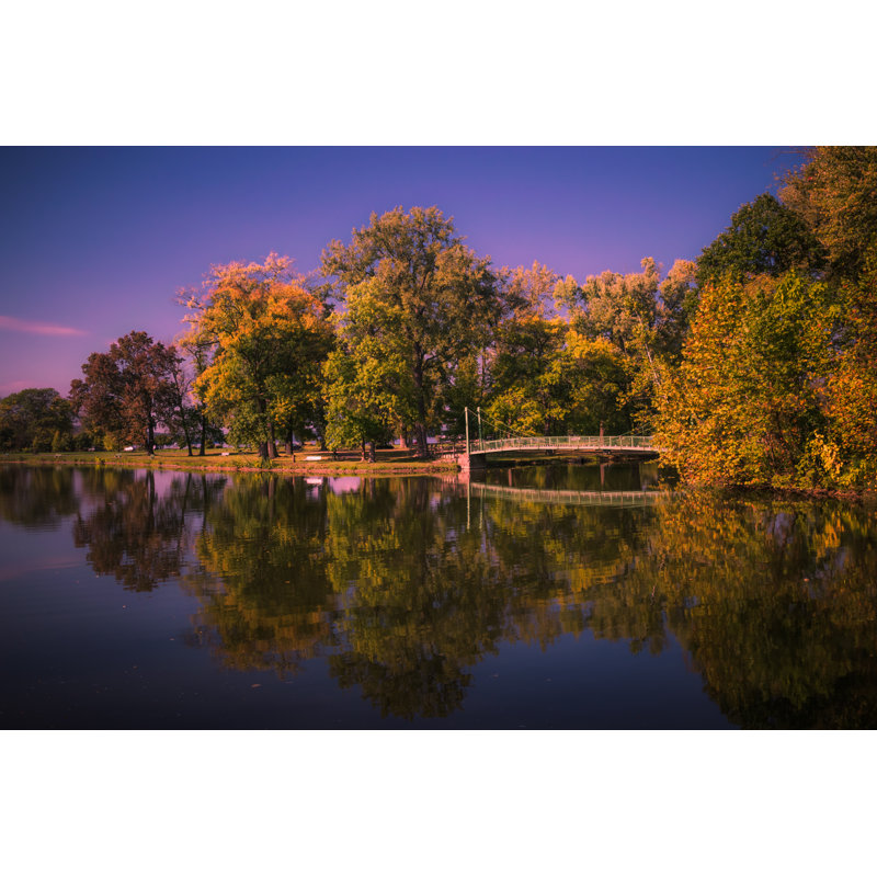 Stewart Park During Fall by Max Snap - Wrapped Canvas Print, 30cm H x 46cm W x 3.8cm D