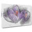 Purple Crocus Flower - Wrapped Canvas Painting-56647416