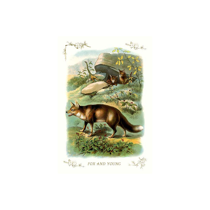 Fox and Young, impression