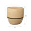 Vine Handmade Seagrass Decorative Basket