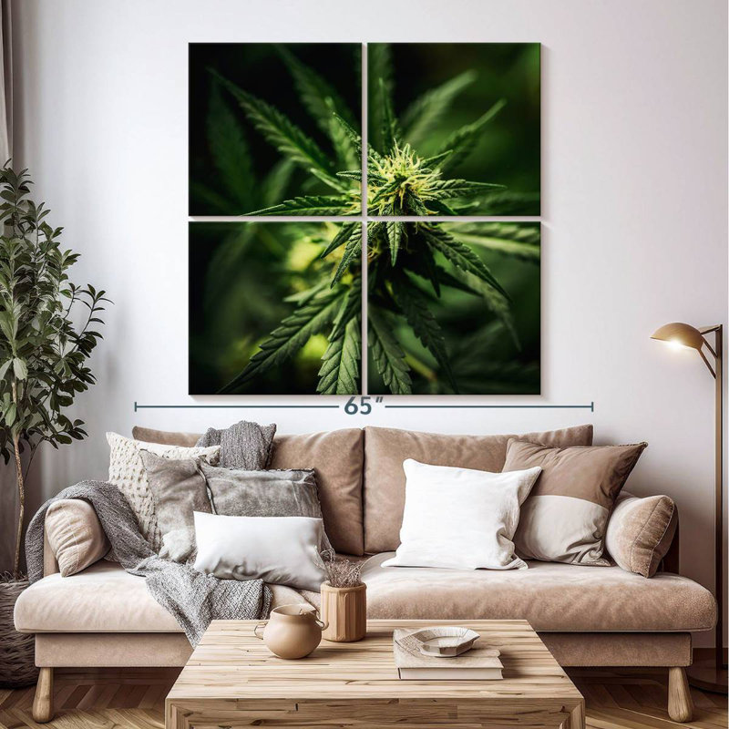 Freshly Bloomed Marijuana