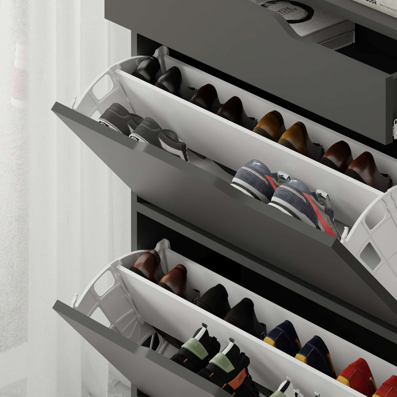 Baneen 8 Pair Shoe Storage Cabinet, Anthracite