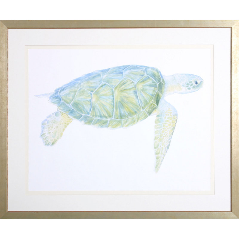Tranquil Sea Turtle I Print by Meagher