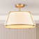 Bertan Ceiling Light