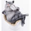 Polyresin Figurine / Sculpture Decorative Object