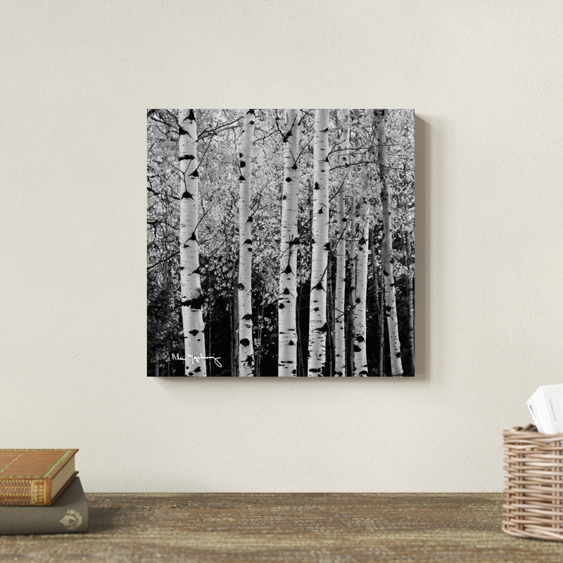 Aspens in Autumn II BW, H 12 po x l 12 po x P 1,25 po