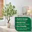 Arbre artificiel de luxe de 7 pi, grand Dracaena Reflexa avec pot de fleurs d'étude, look stéréo luxuriant pour la maison, décoration de bureau