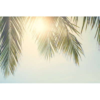 Palm leaves against sunset