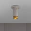 1 - Light Flush Mount-1746149240-1750557685
