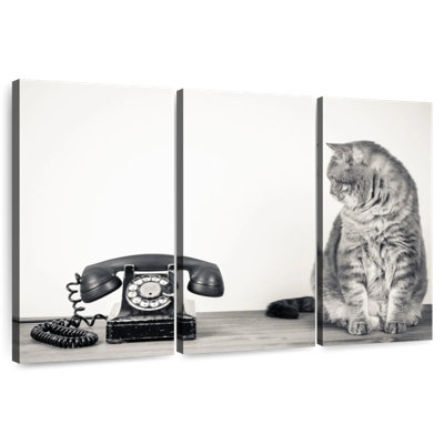 Chat rétro