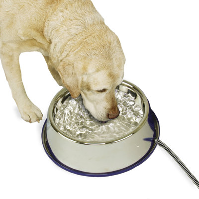 Anti-Skid Bowl/dish
