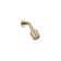 One Showerhead with Arm