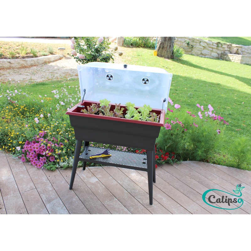 Planter, 50cm H x 81cm W x 39cm D, Grey/Cherry