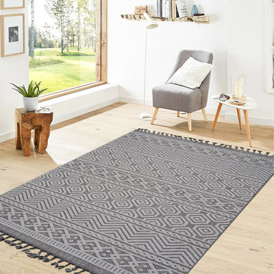 Tapis intérieur / extérieur gris / blanc 8 x 10 po, caractéristique élégante, teinture, sans perte de poils et pour animaux de compagnie, options diverses, facile à nettoyer, velours moyen de 0,29 po, envers en coton, tapis en latex, tendance