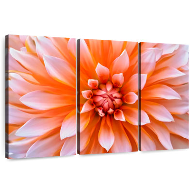 Harnek White Orange Dahlia Flower