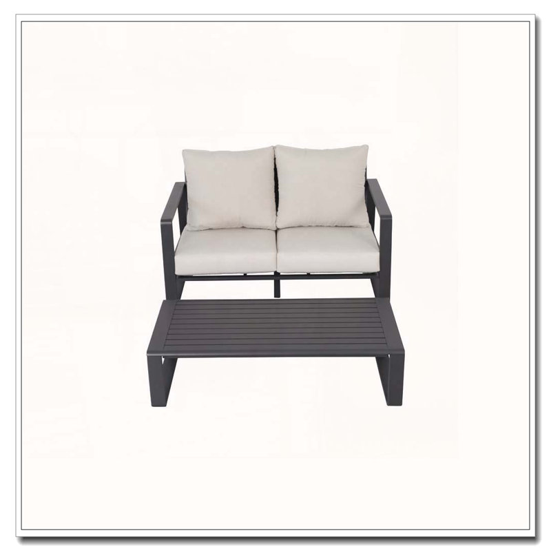 Ensemble de canapé double + table basse rectangulaire
