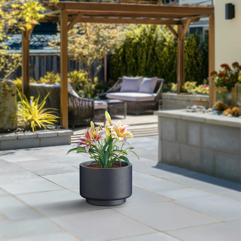 Grand pot / pot rond en béton avec trous de drainage, H 11,47 po x l 15,75 po x P 15,75 po, Gris clair (intérieur amélioré)