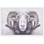 Parvez Taj - Single Picture Frame Print-19701531