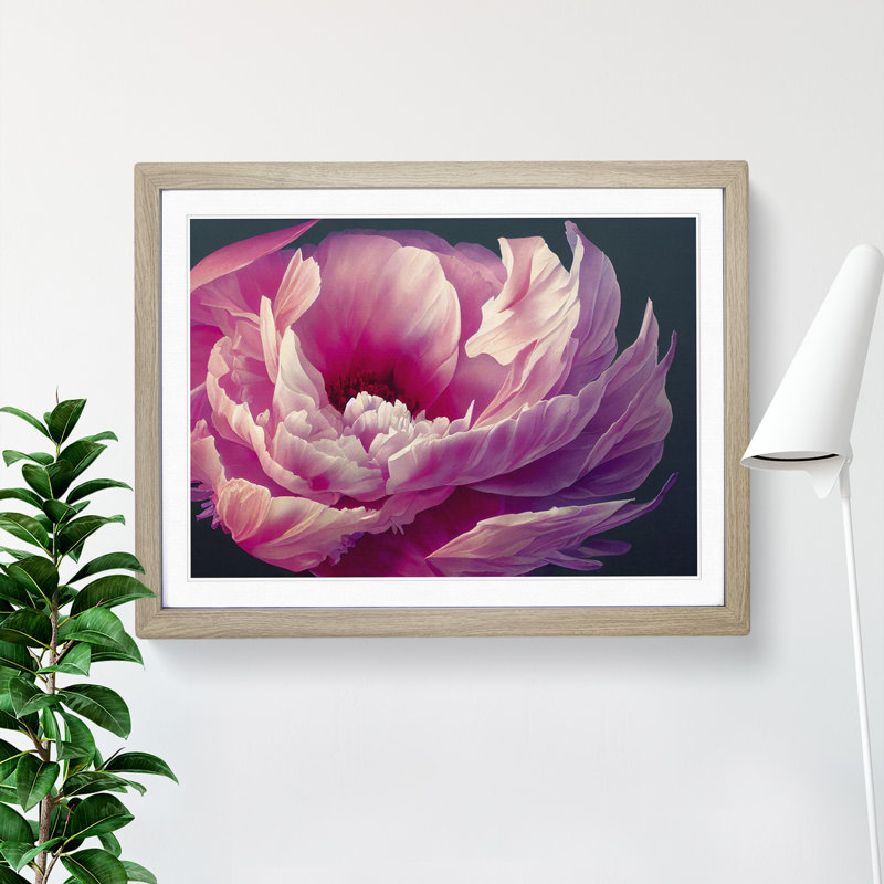 Bedazzled Peony Flower - Single Picture Frame Print, 34cm H x 46cm W x 2cm D, Oak Frame