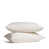 Parchment