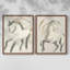 ANIMALS Series CCGLXVI-Reproduction encadrée de qualité supérieure - prête à être accrochée - aucun clou requis - aucun clou requis-108016980-108016982