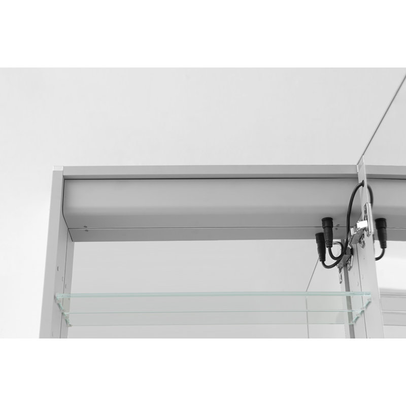 Dili 24" W x 30" H x 5" D Right Hinge, LED Medicine Cabinet Defogger, 3X Vertically Adjustable Magnifying Mirror, Right