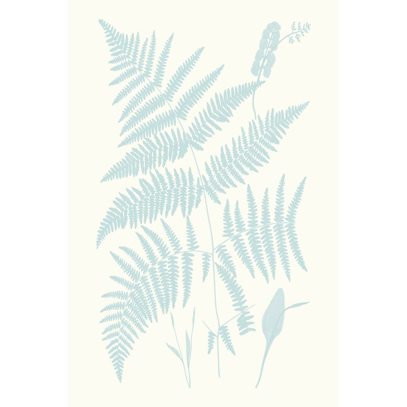 Serene Ferns I - Wrapped Canvas Painting, 46cm H x 30cm W x 3.8cm D